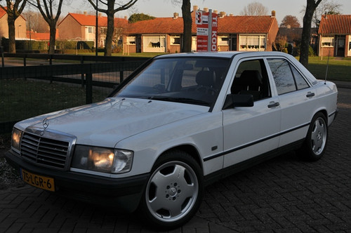 1223578574_5_olIS.jpg