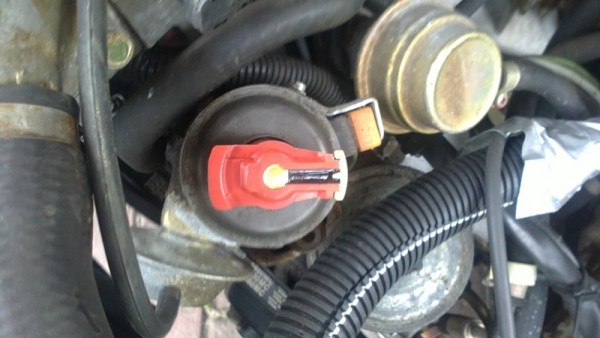 05042011032.JPG