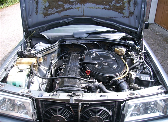PICT0315.JPG