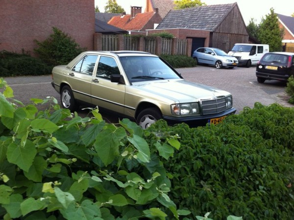 auto.jpg