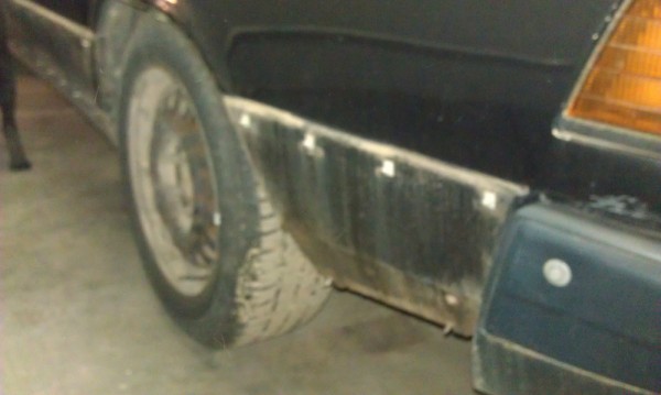 IMAG0390.jpg