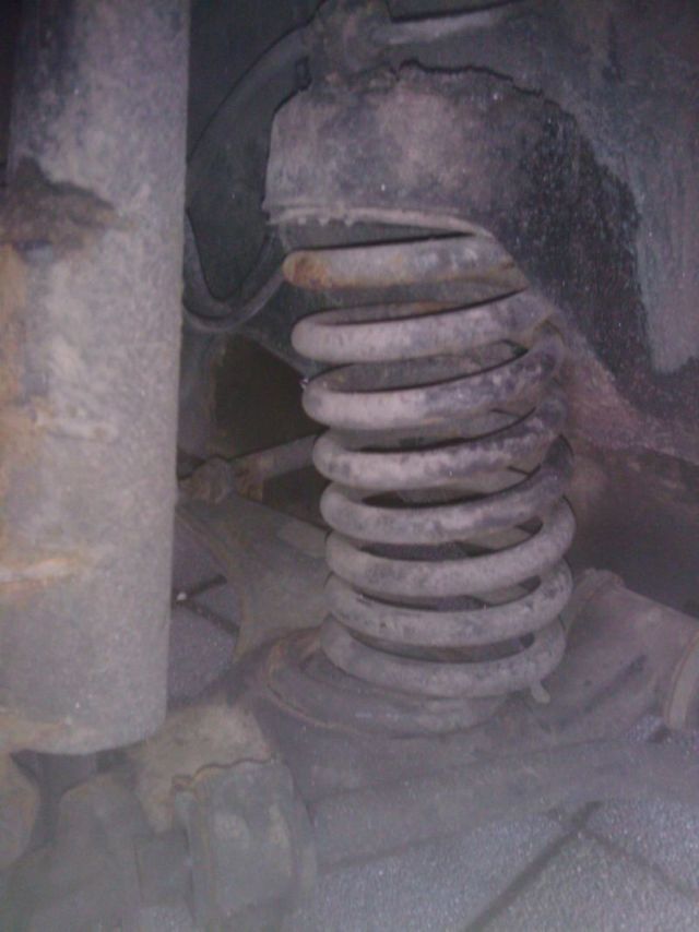 IMAG0045.jpg