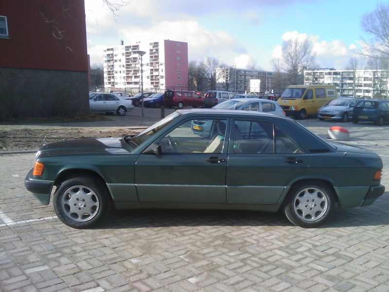 IMAG0050.jpg