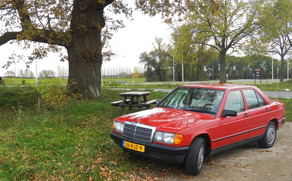 kleineik.jpg