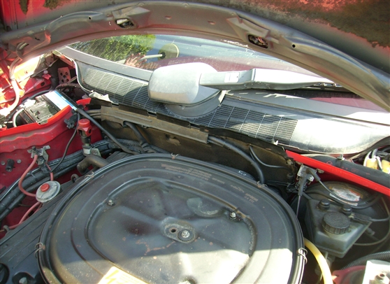 PICT0433.jpg