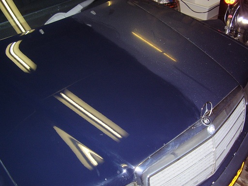 P1010038s.jpg