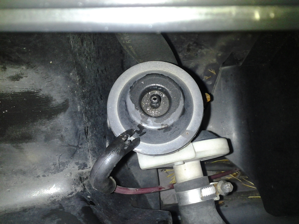 20120124_155530.jpg