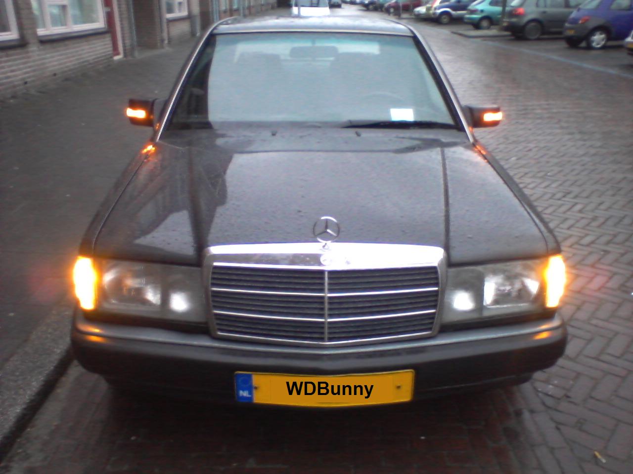 WDBunny 4.JPG