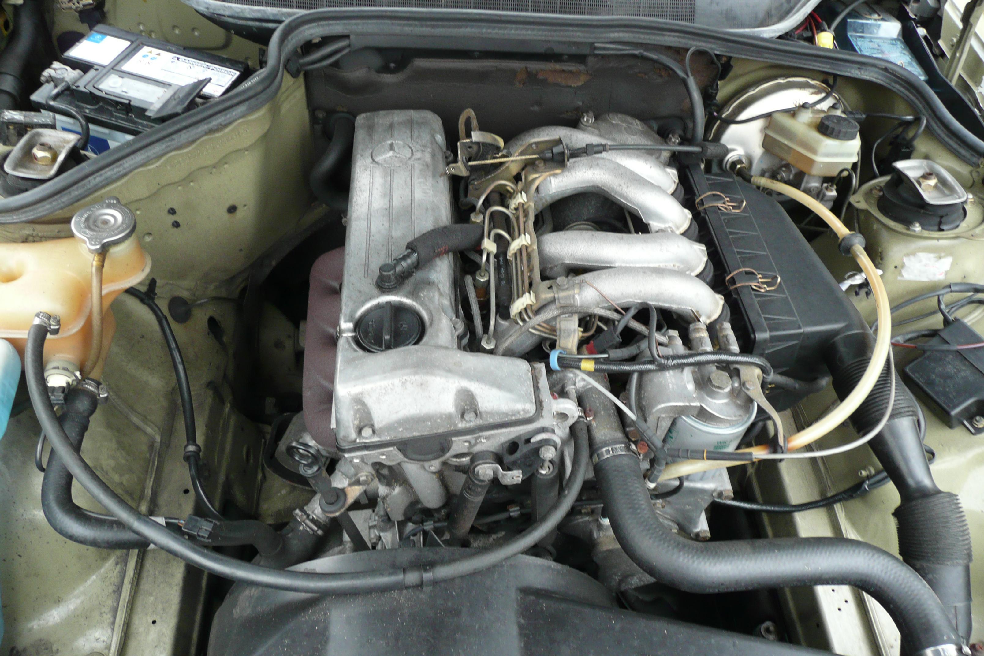 P1060016.jpg