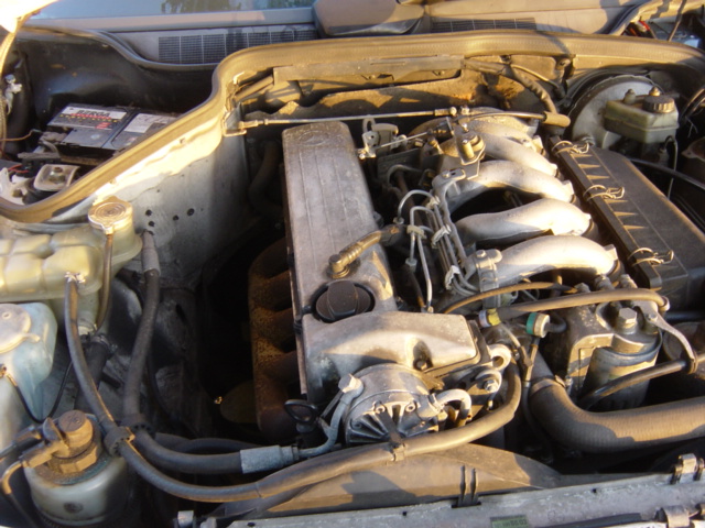 190D 2.5 Wit 015.jpg