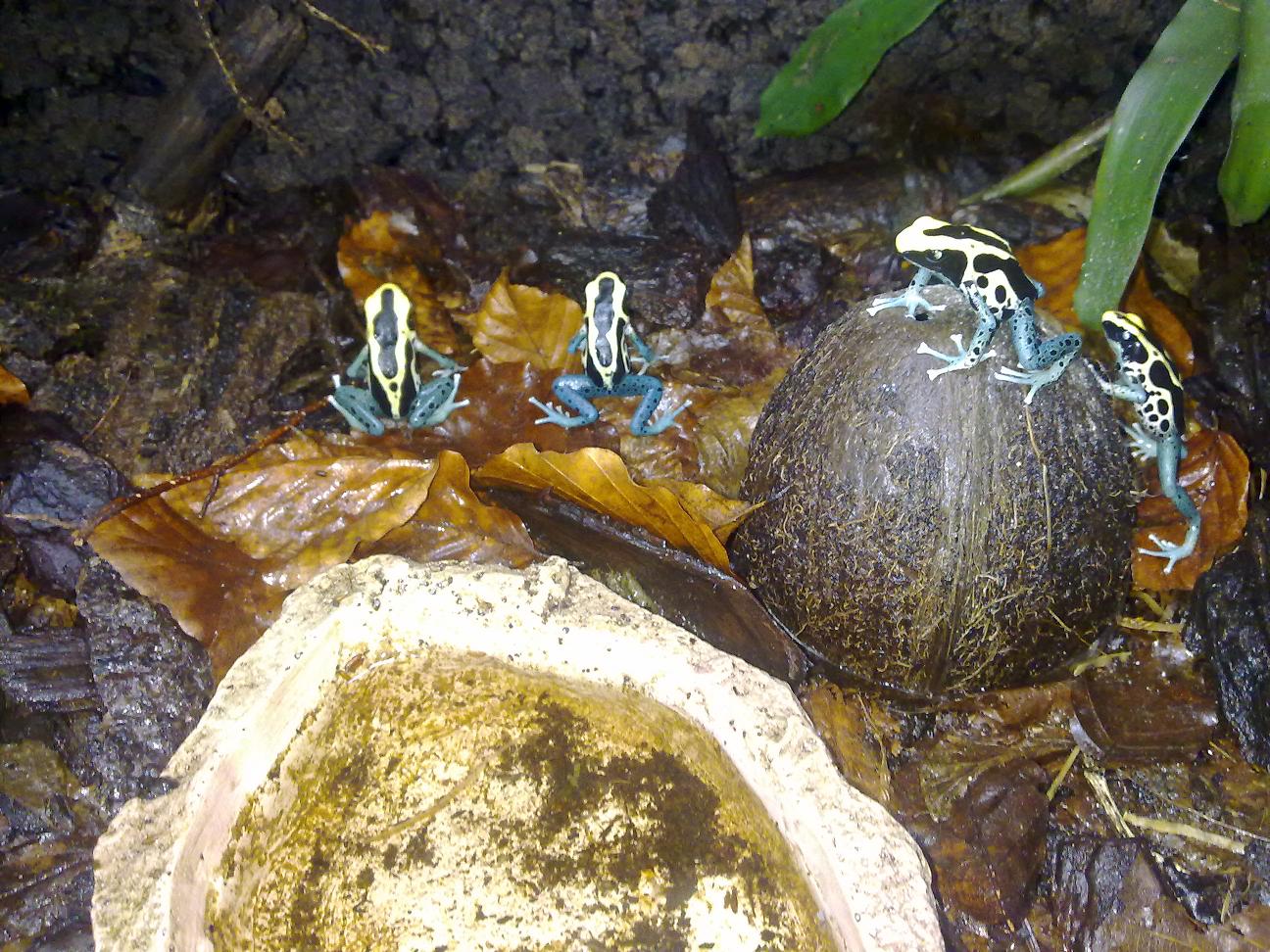 29122010347.jpg