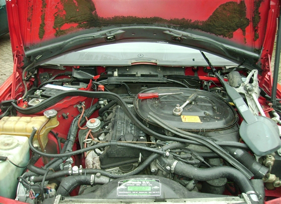 PICT0368.jpg