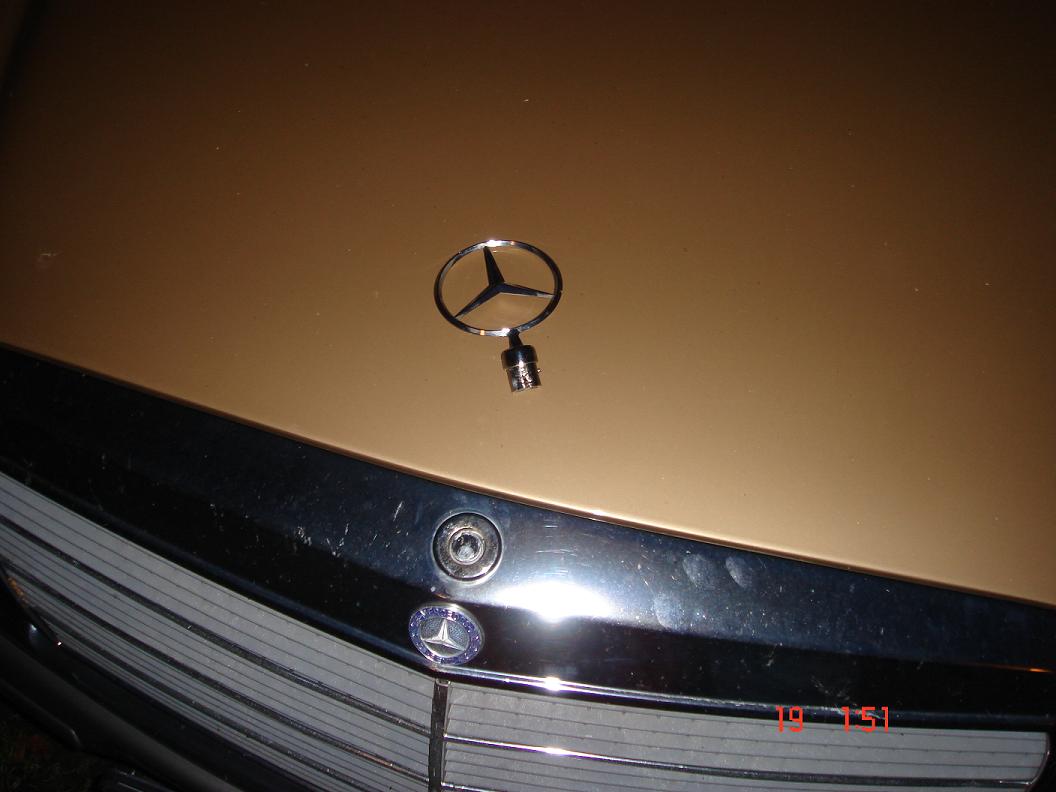 280SE Oh ooowww.JPG