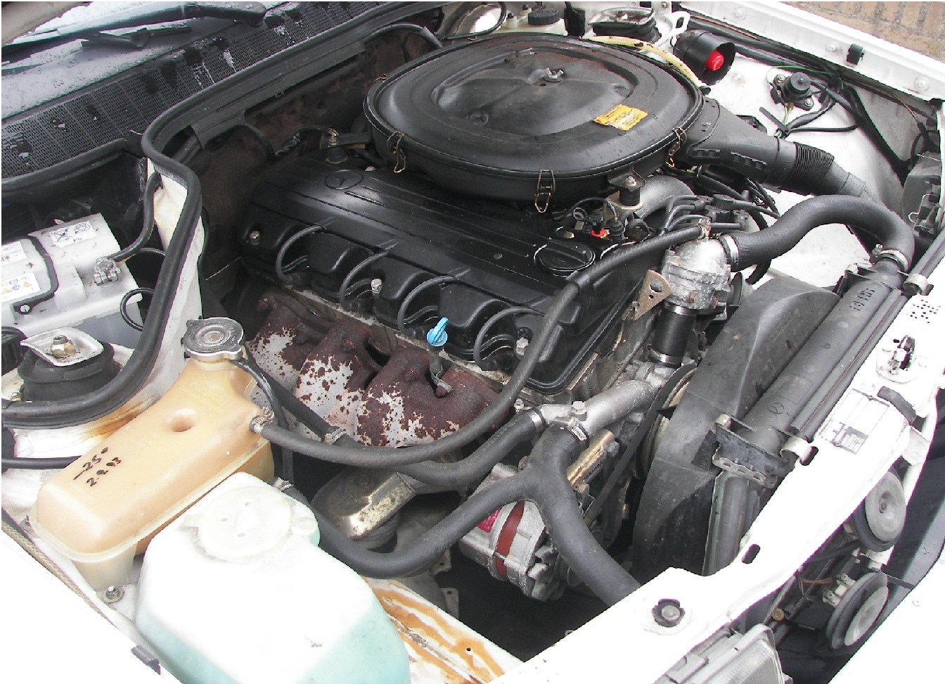 w201 foto 5.jpg