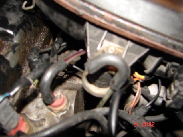 DSC07449.jpg