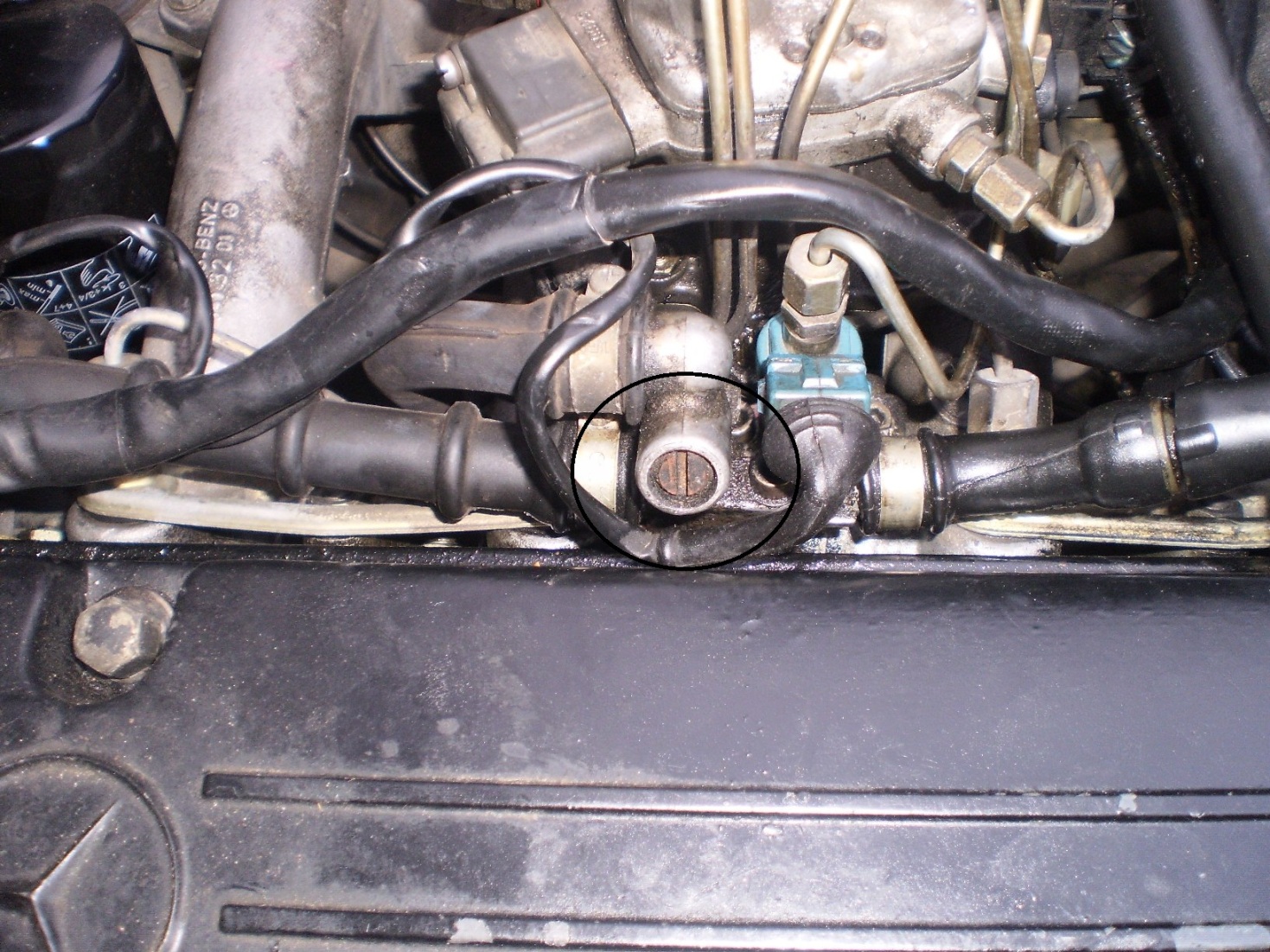 PB190086.JPG