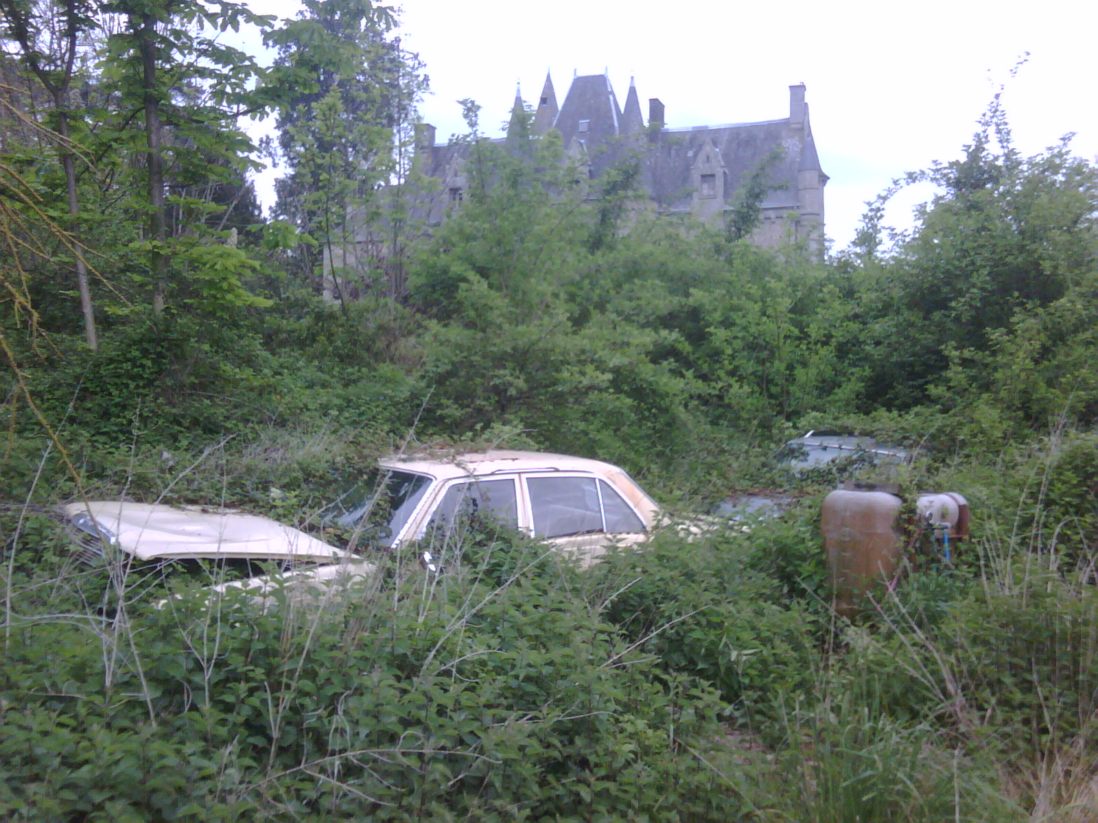 IMG01713-20120504-1509.jpg
