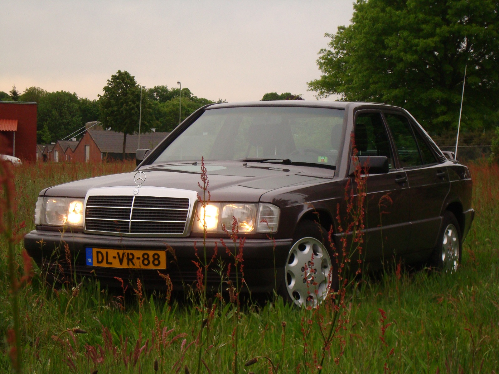 DSC042282.jpg