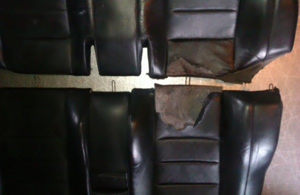 IMAG0226.jpg