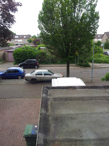 20120611_120000.jpg