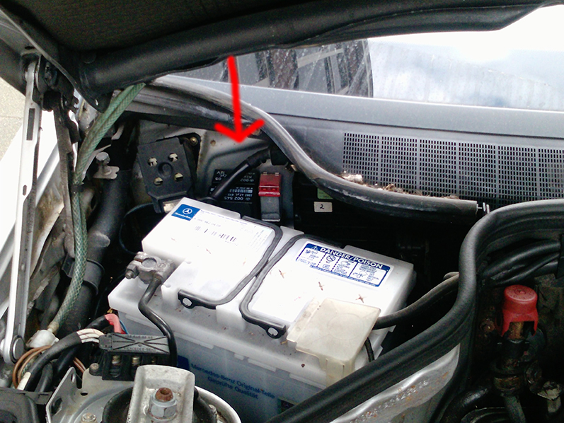 P0127_29-05-09.jpg