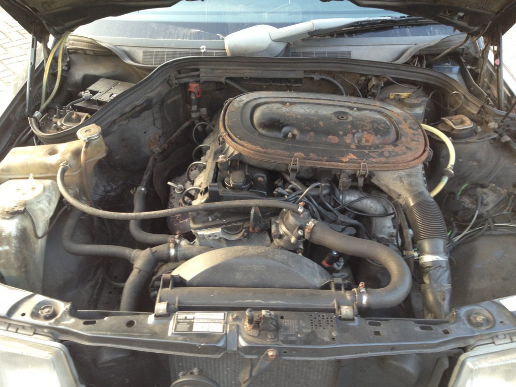 img0495t.jpg