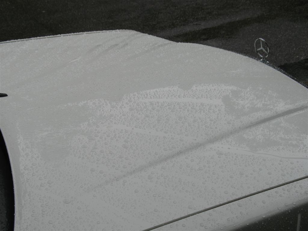 regen na wax meguiars 001 (Large).jpg