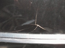 658IMG_2416b_tn.jpg
