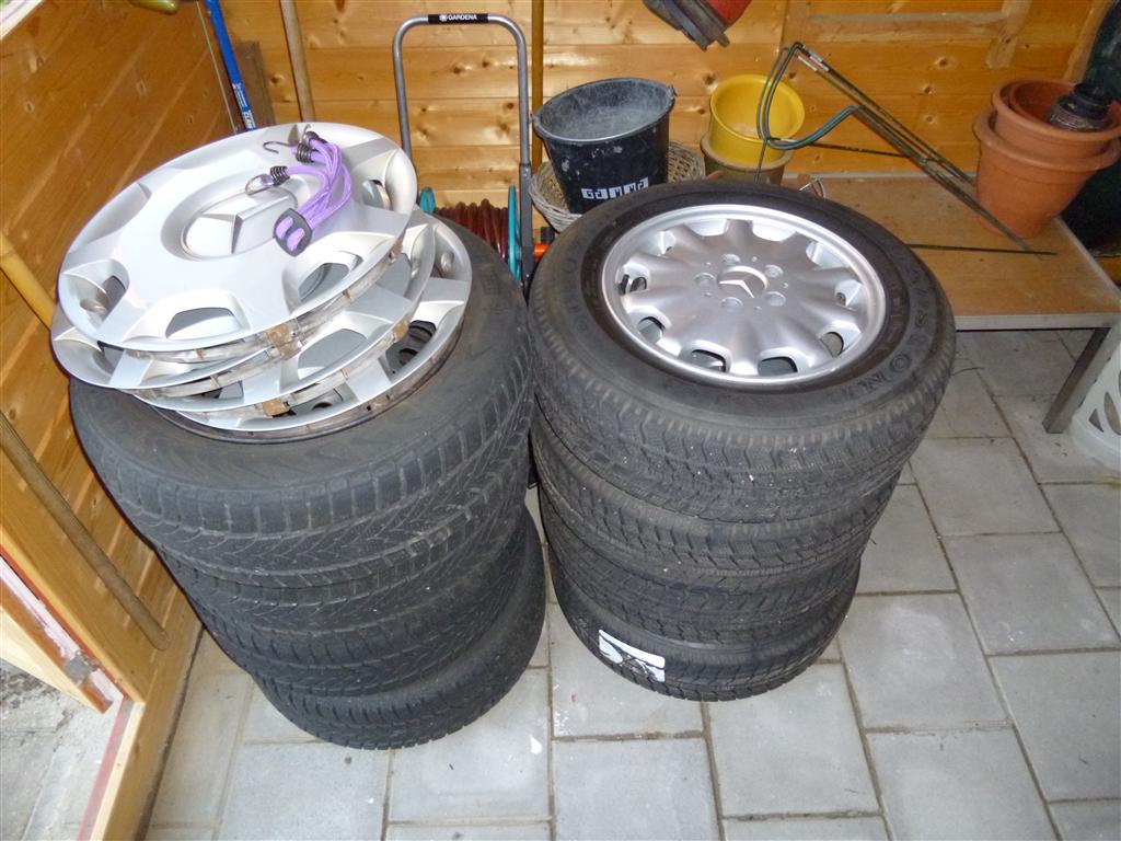 P1000012 (Medium).JPG