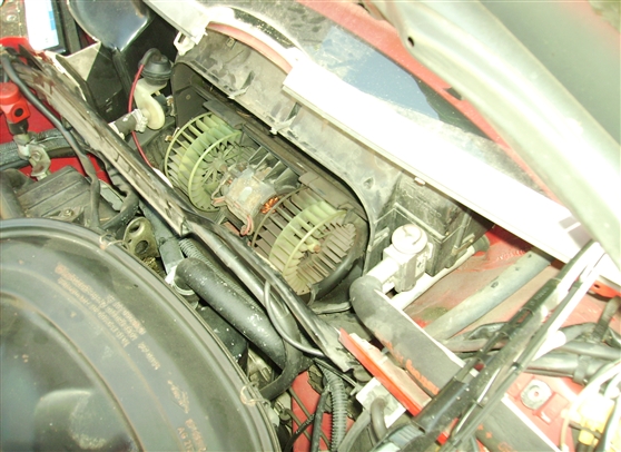 PICT0434.jpg