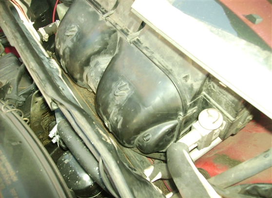 PICT0437.jpg