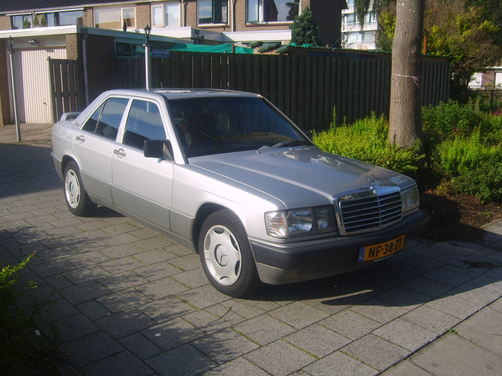 S6001863.JPG
