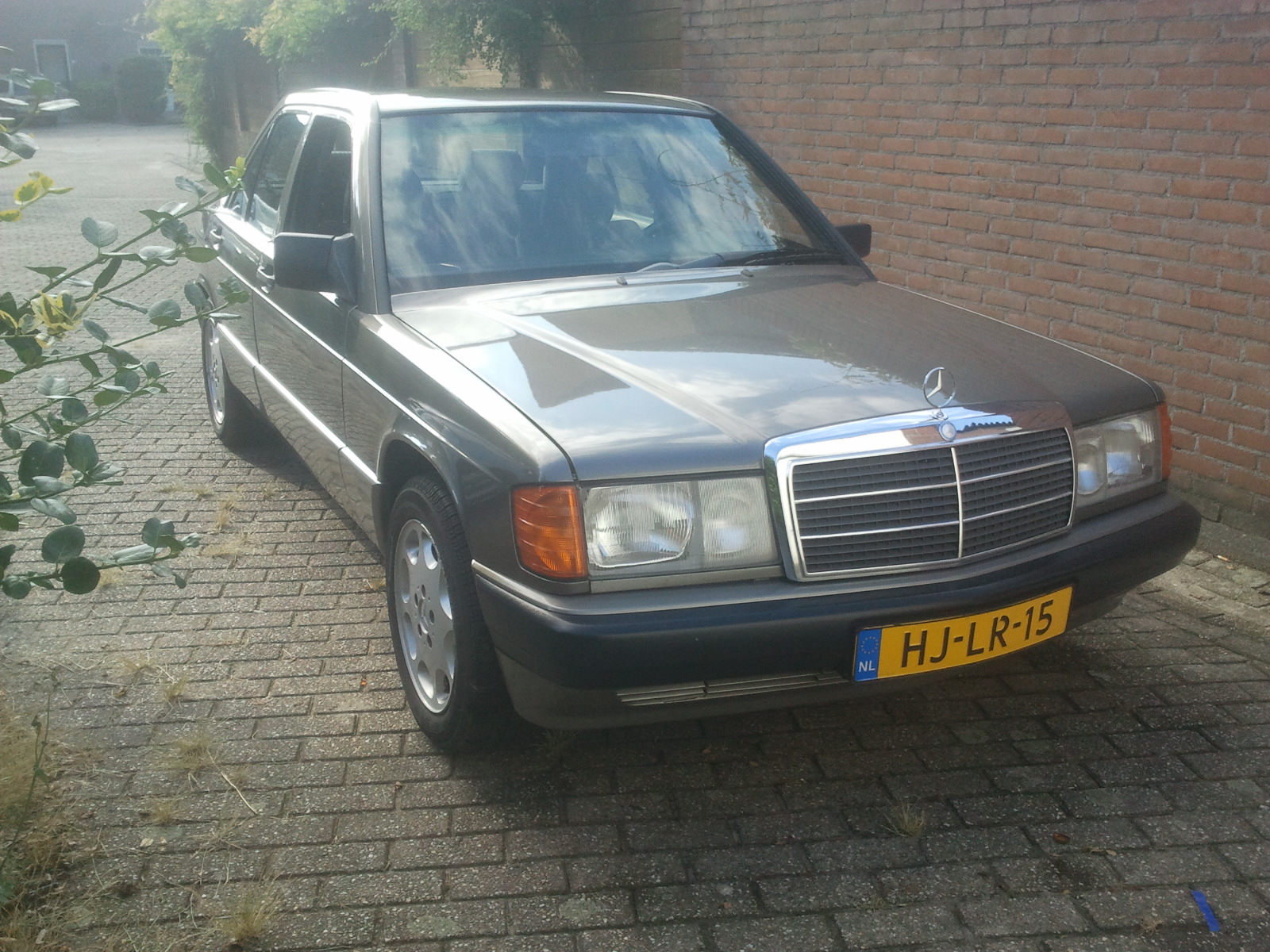 voor.jpg