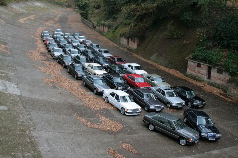 39%20w201's.jpg