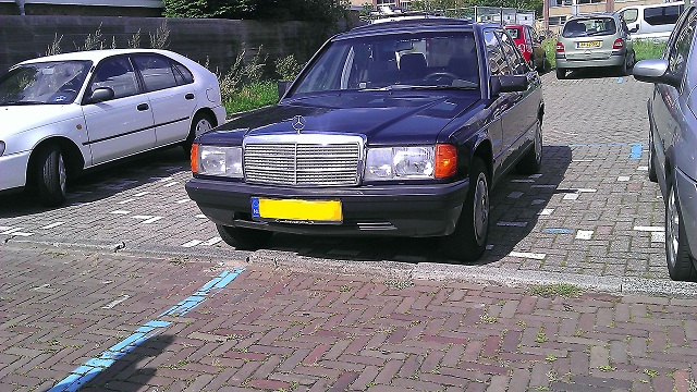 IMAG0731.jpg