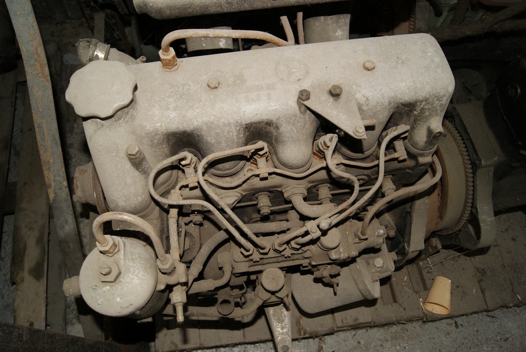 _DSC9919.jpg