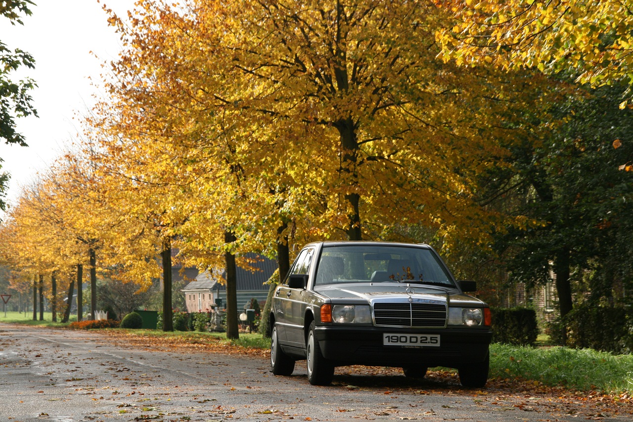 Herfst.jpg