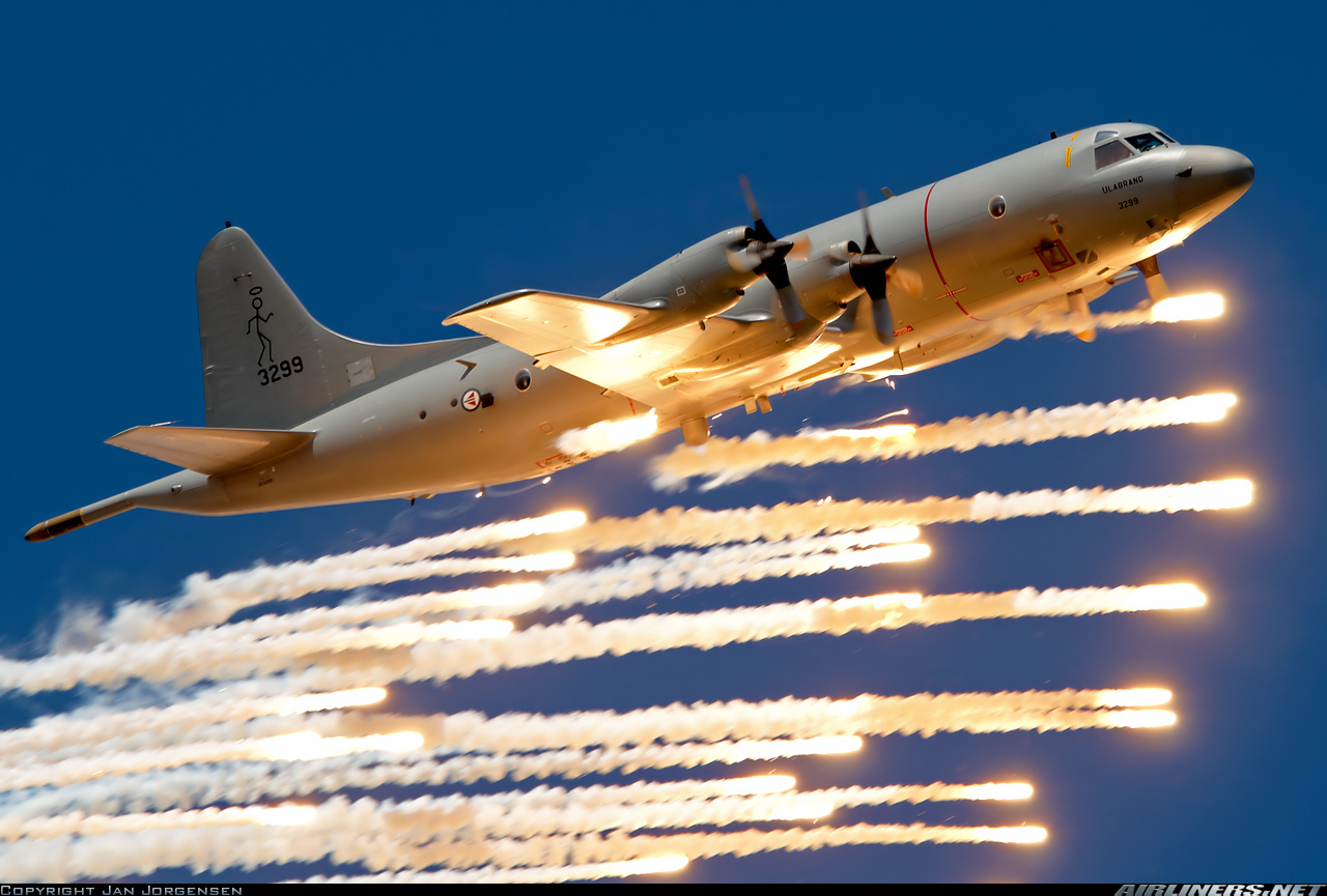 P-3C Orion aircraft (2).jpg