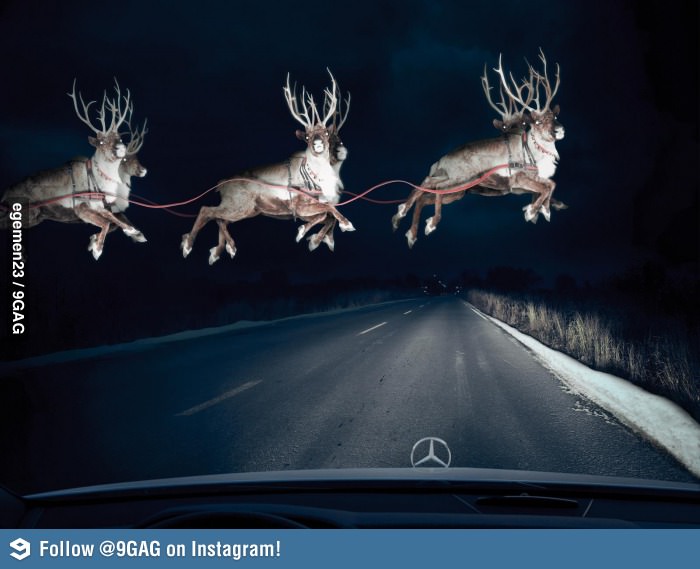 xmas.jpg