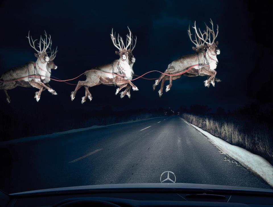 merry christmas.jpg