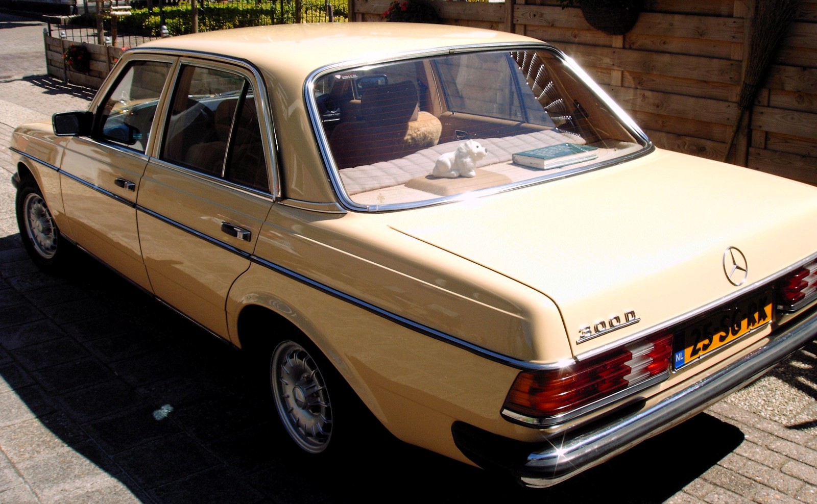 mercedes 005 (Custom).JPG