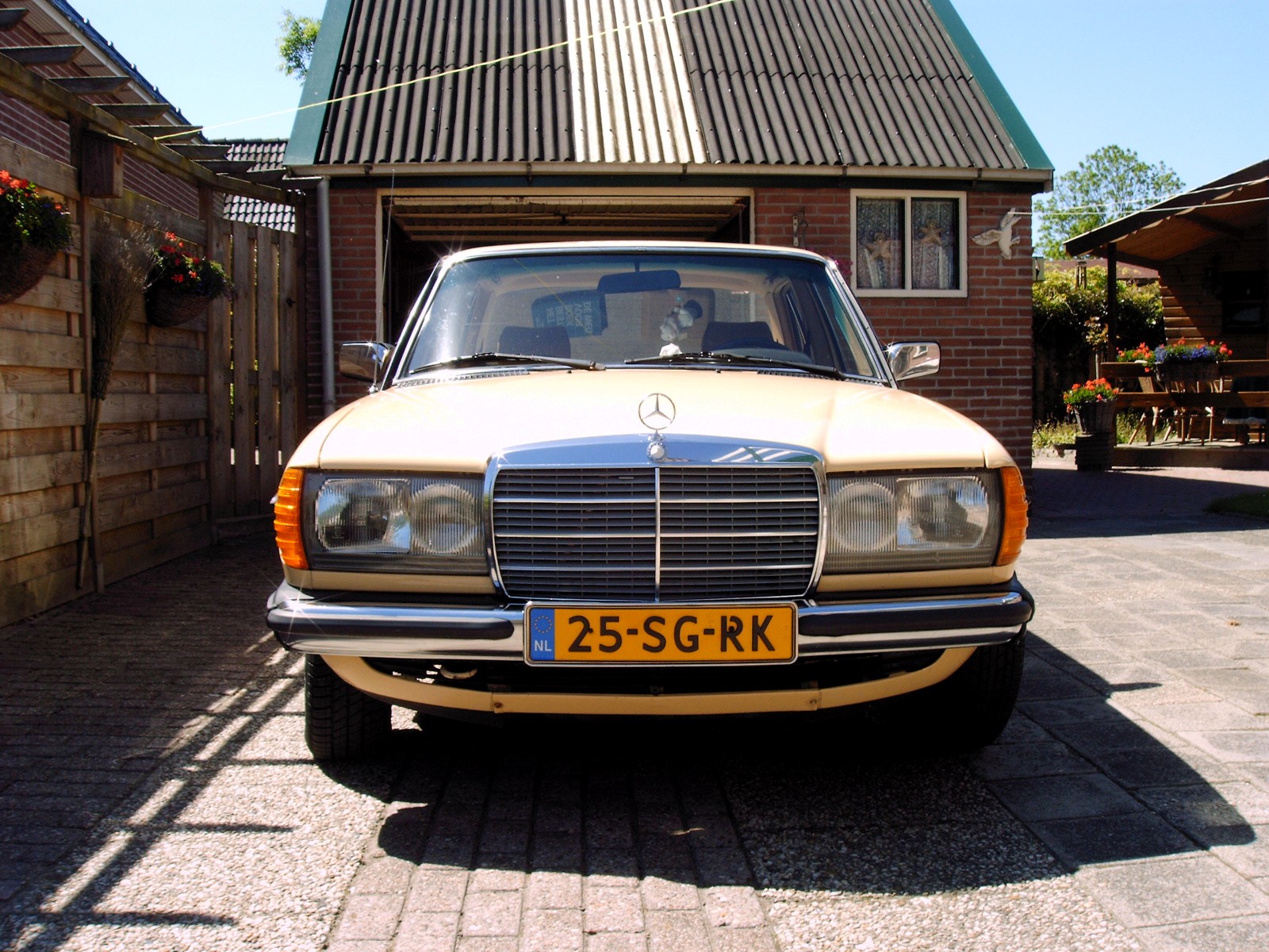 mercedes 017 (Custom).JPG