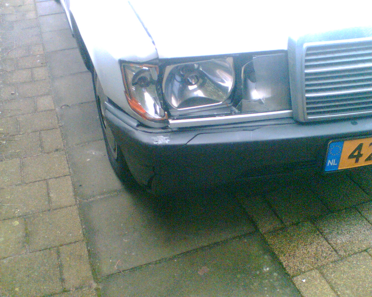 schade1.jpg
