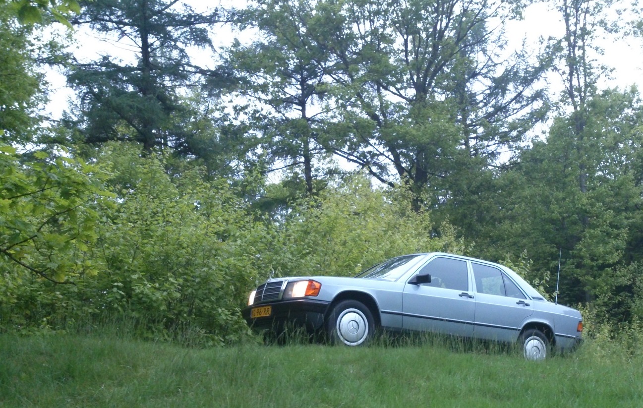 haico1.jpg