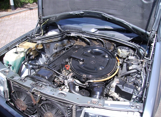 PICT0322.jpg