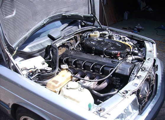 PICT0323.jpg