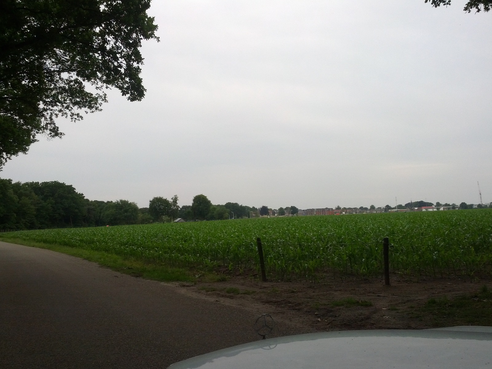 IMG_20130702_193503.jpg