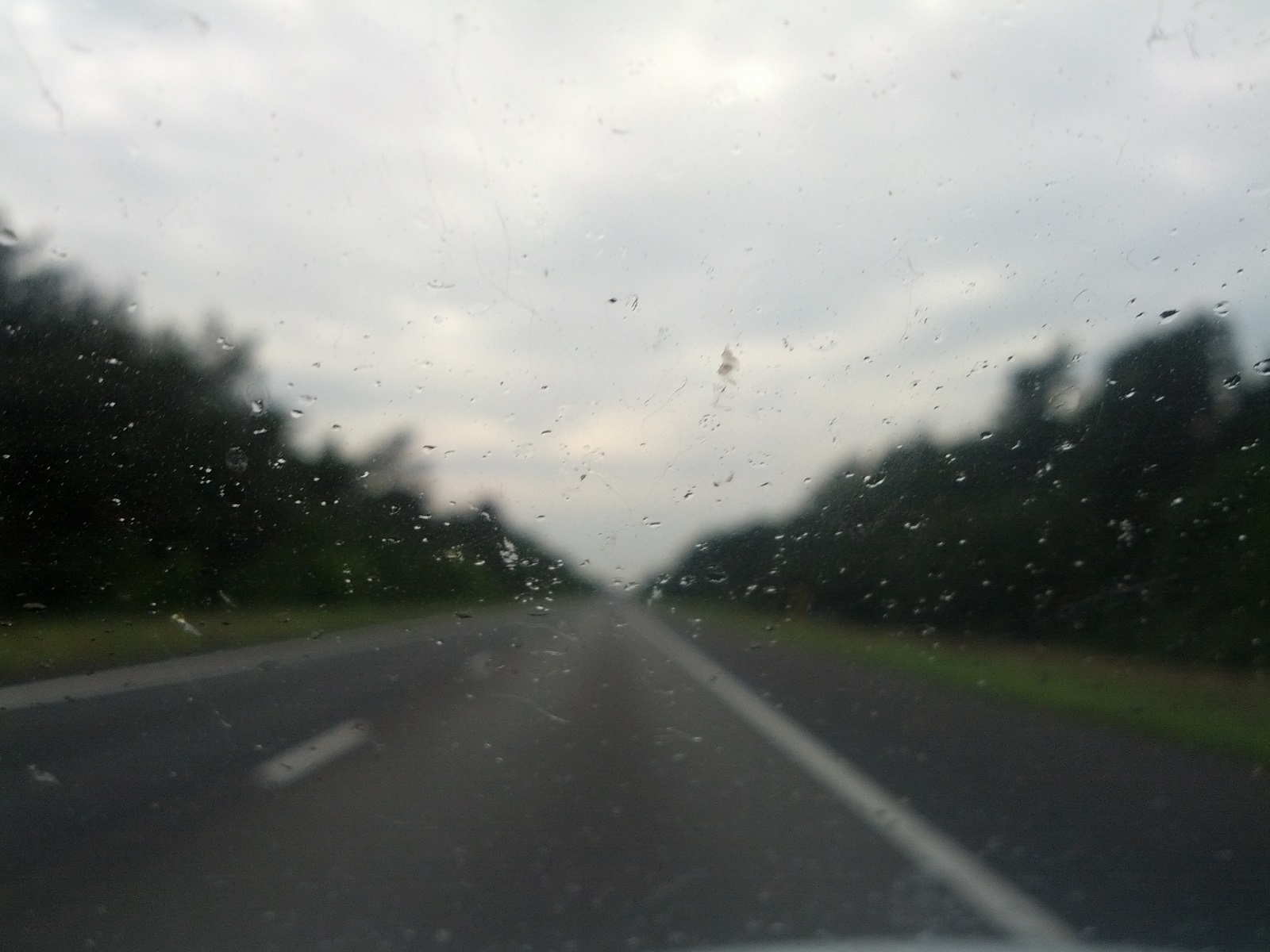 IMG_20130702_204446.jpg