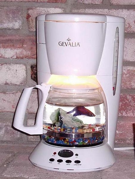 turn_old_coffeemaker_fishbowl_800X800.jpg