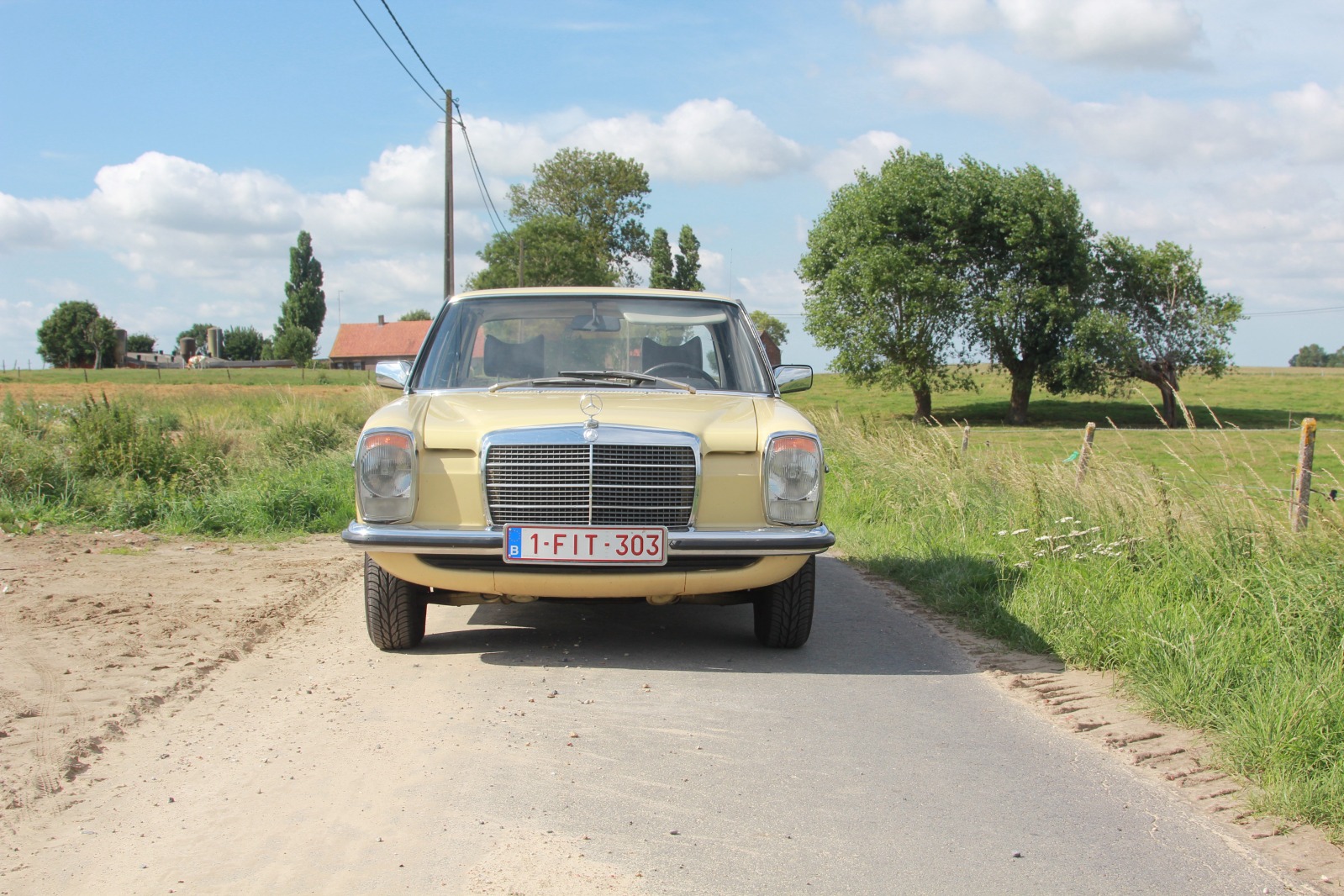 w155fit.jpg